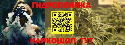 шишки Ликино-Дулёво