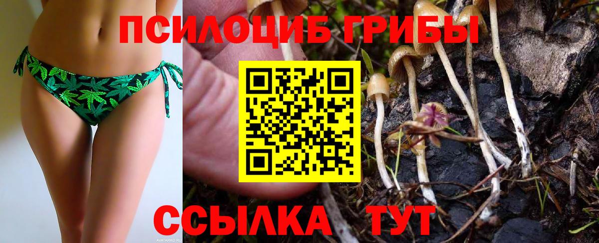Галлюциногенные грибы мицелий Жигулёвск