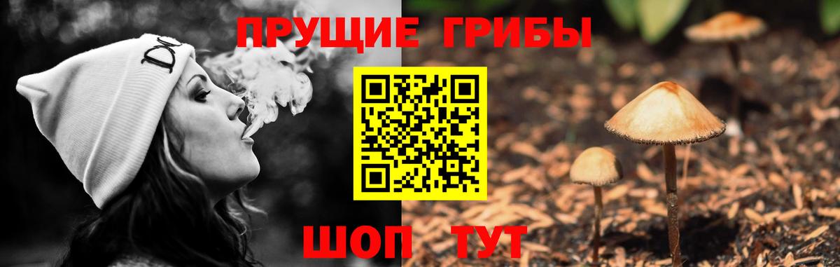 Жигулёвск  купить наркотик  Вход с VPN  Псилоцибиновые грибы MAGIC MUSHROOMS  Галлюциногенные грибы MAGIC MUSHROOMS 